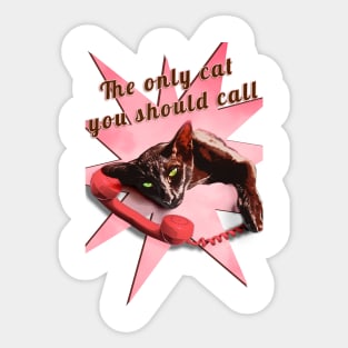 The only cat you should call Sticker